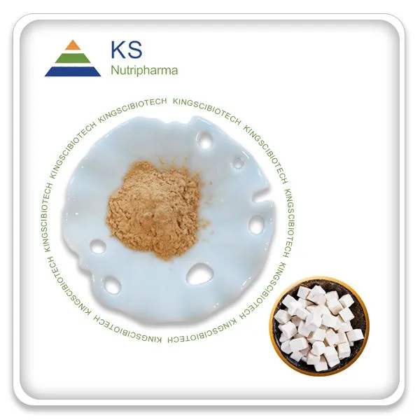 Poria Cocos sclerotium ekstrakt