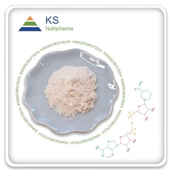 Nad supplement pulver